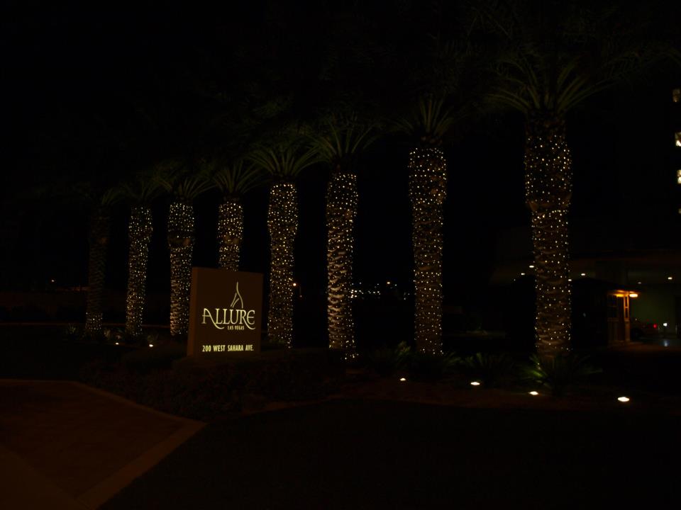 305692_499662813390724_1720249220_n